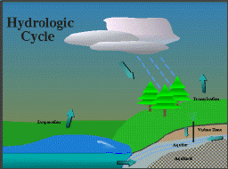 [Image of Hydrologic Cycle]