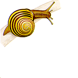 Snail Bitmap BMP Files