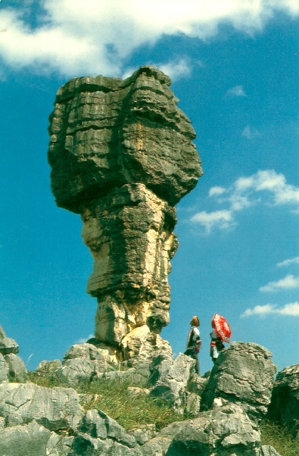 Stony Forest National Park